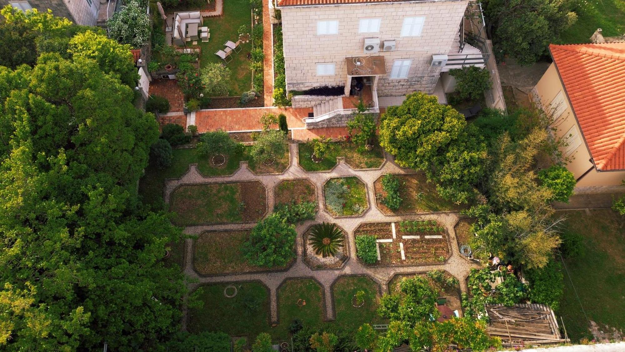 דוברובניק Villa Falkoni II מראה חיצוני תמונה